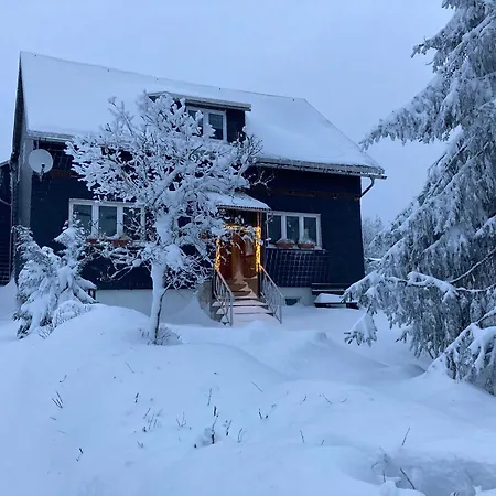 Rennsteigblick * Eisfeld